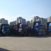 福州顺利货运 专业道路货运服务专家